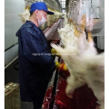 Tueur automatique de gros poulet